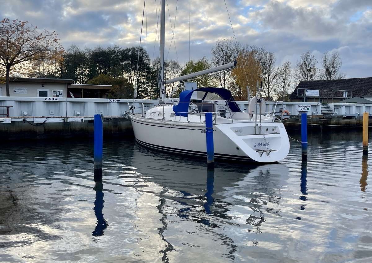 Yachtclub Pommerscher Greif - Marina