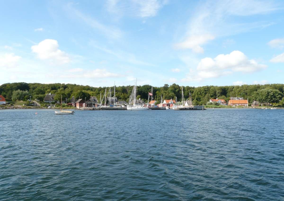 Dyreborg - Hafen bei Dyreborg