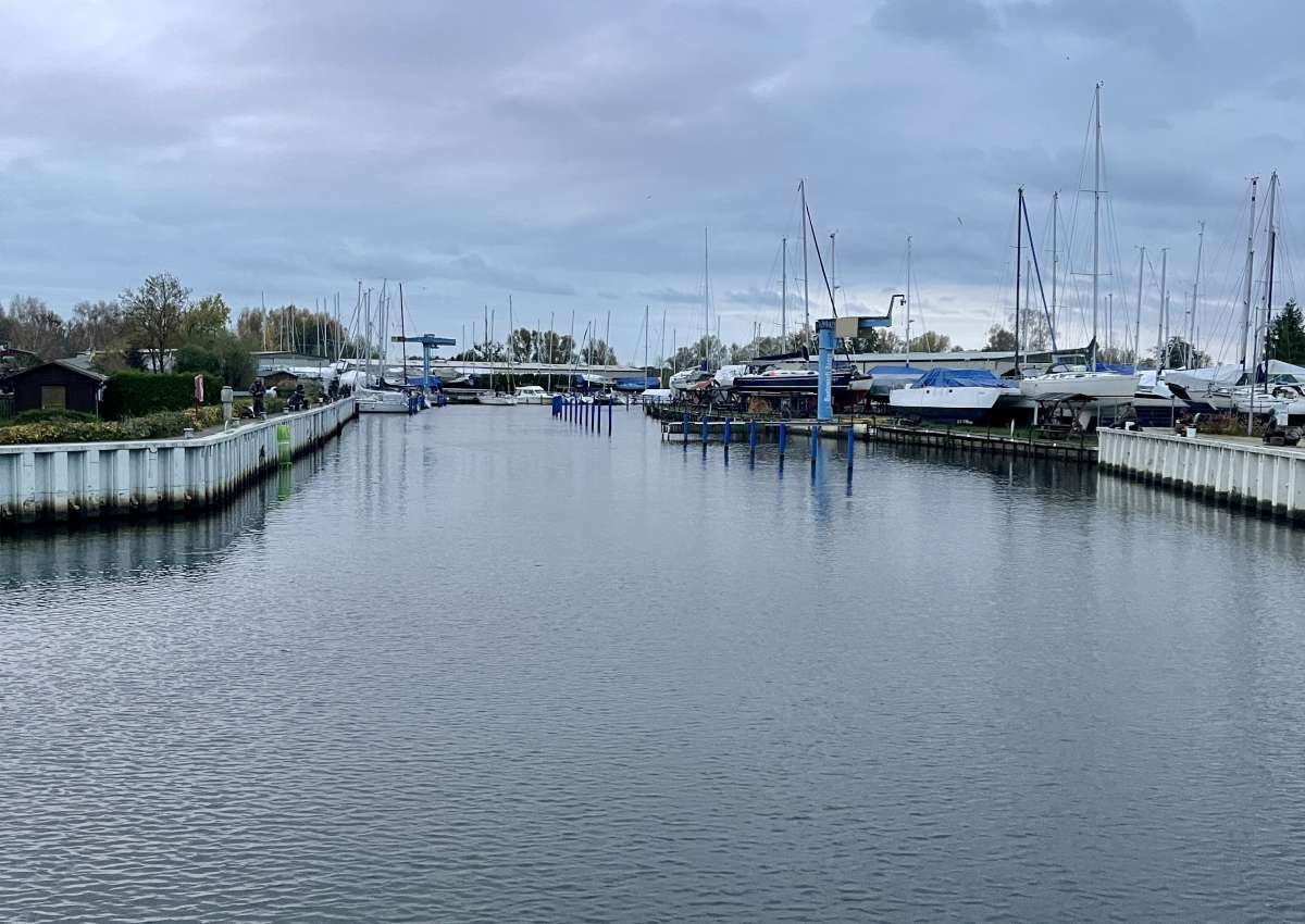 Ueckermünde - Bootswerft Baars - Hafen