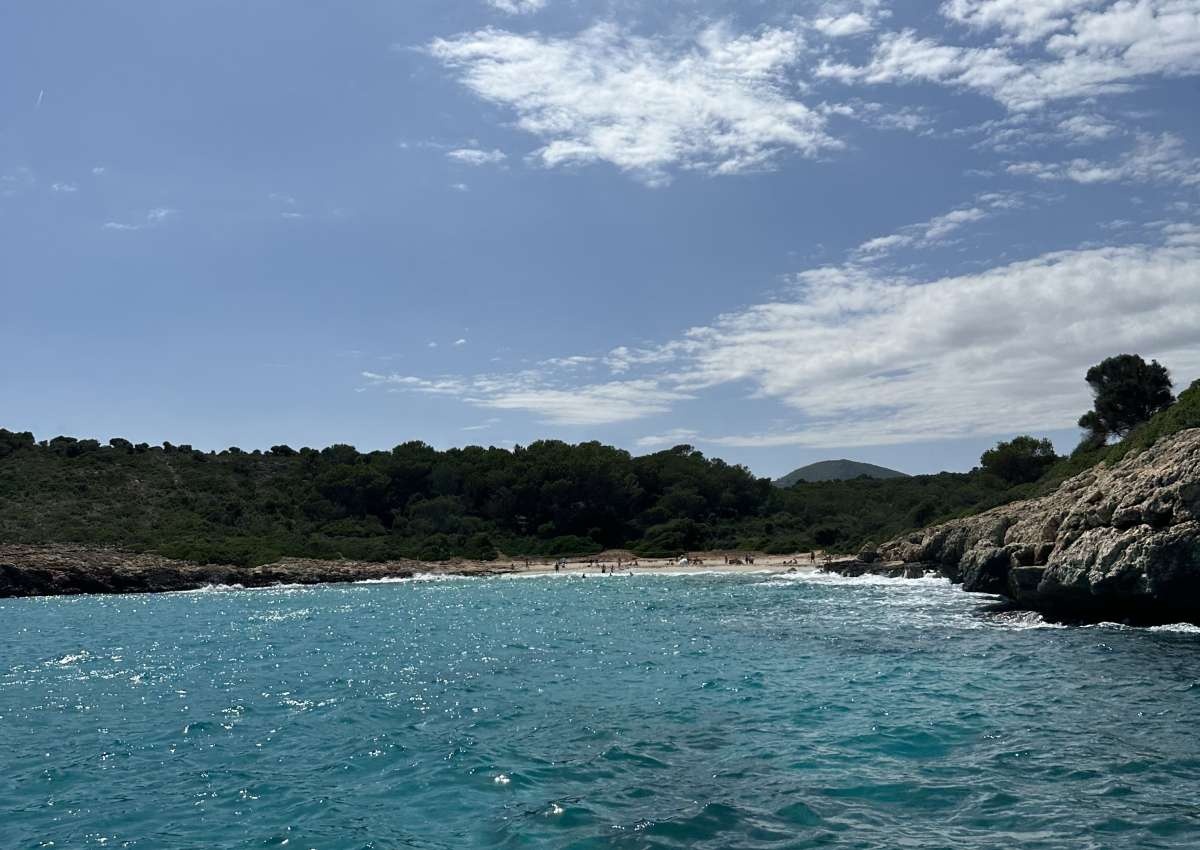Mallorca - Cala Barcas, Anchor - Anchor près de Manacor