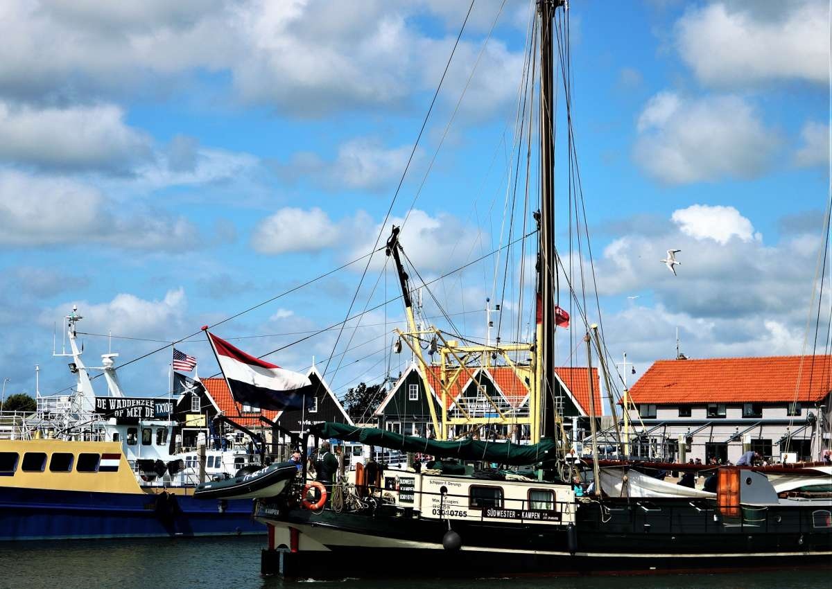 Texel - Hafen bei Texel (Oudeschild)