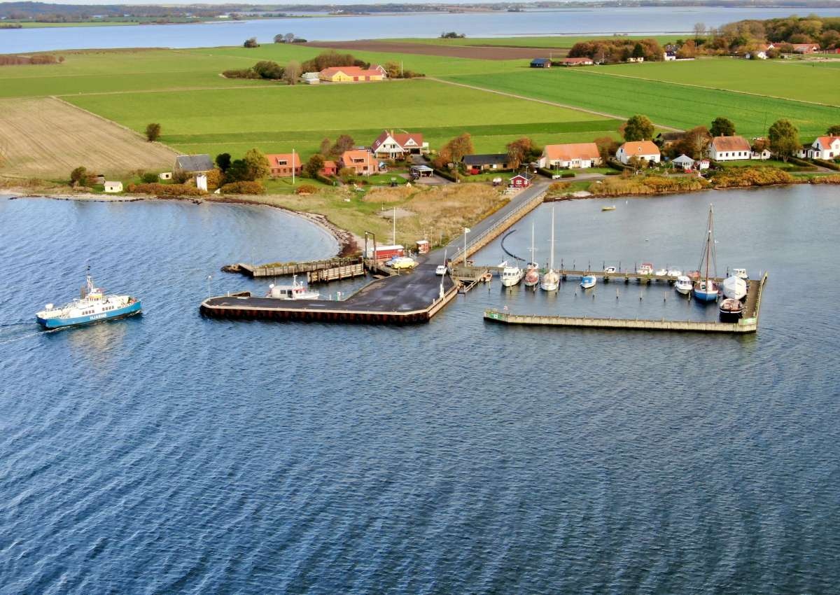 Hjarnø - Marina near Snaptun