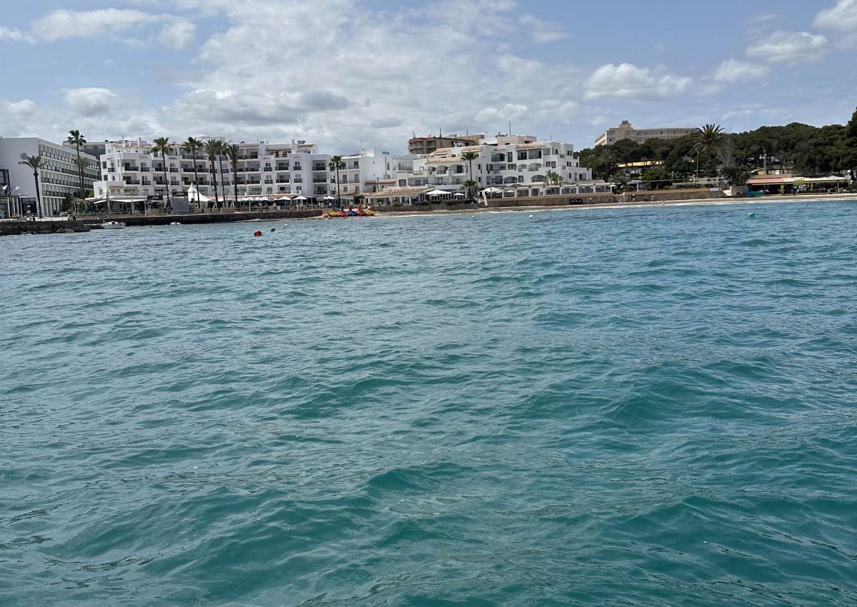 Ibiza - Cala Cana, Anchor - Anchor near Es Canar