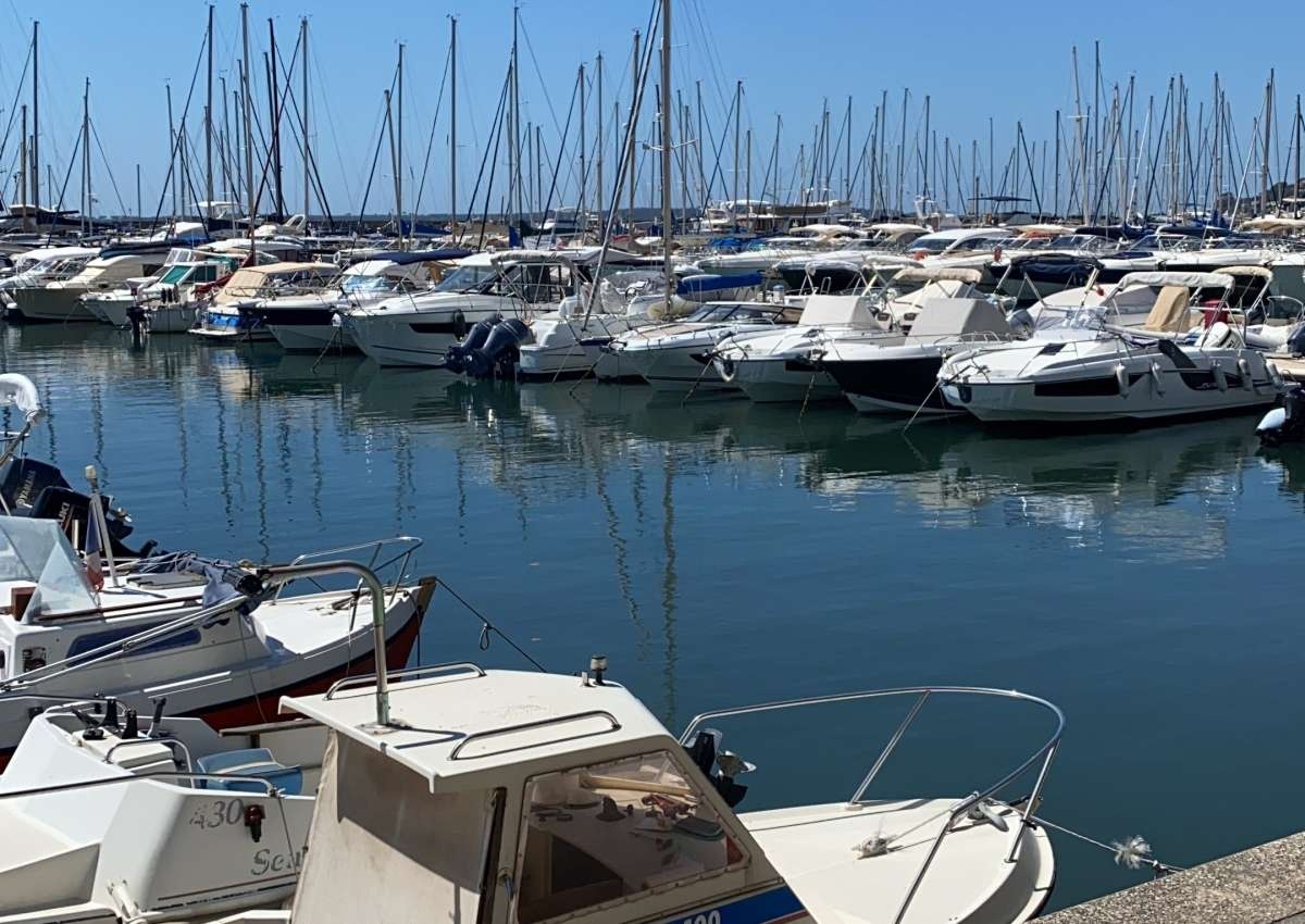 Port de Golfe-Juan - CCI Nice Côte d'Azur - Marina near Vallauris (Super Cannes)